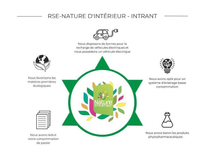 Entretien plante d'intérieur