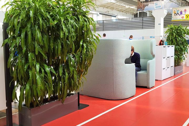 Entretien plante d'intérieur Lille