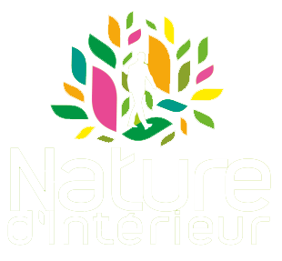 Entretien plante d'intérieur Lille